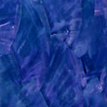 Grander Blue Paua
