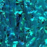 Teal Paua