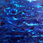 Royal Blue Paua